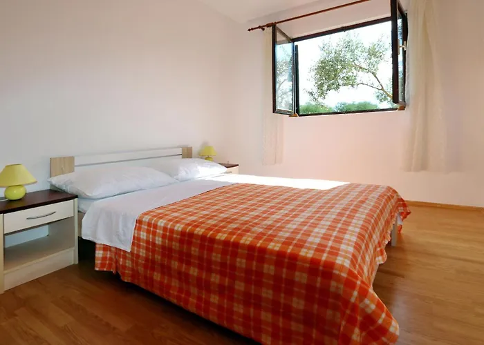 Rubbi, No 1 * Врси